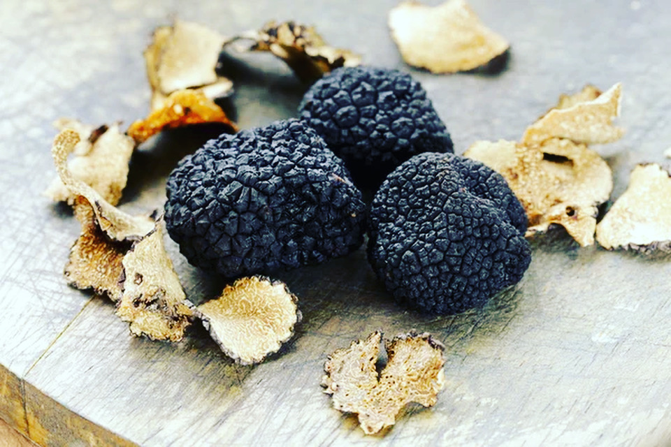 Truffle Hunting